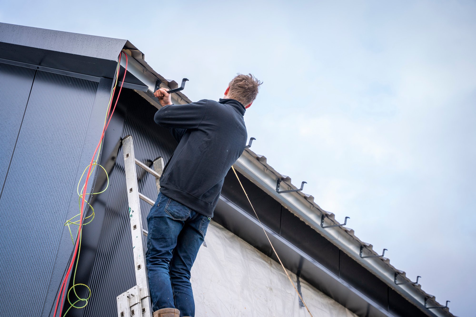 8555ab49-1e5b-42b0-9439-183c9d0d546e